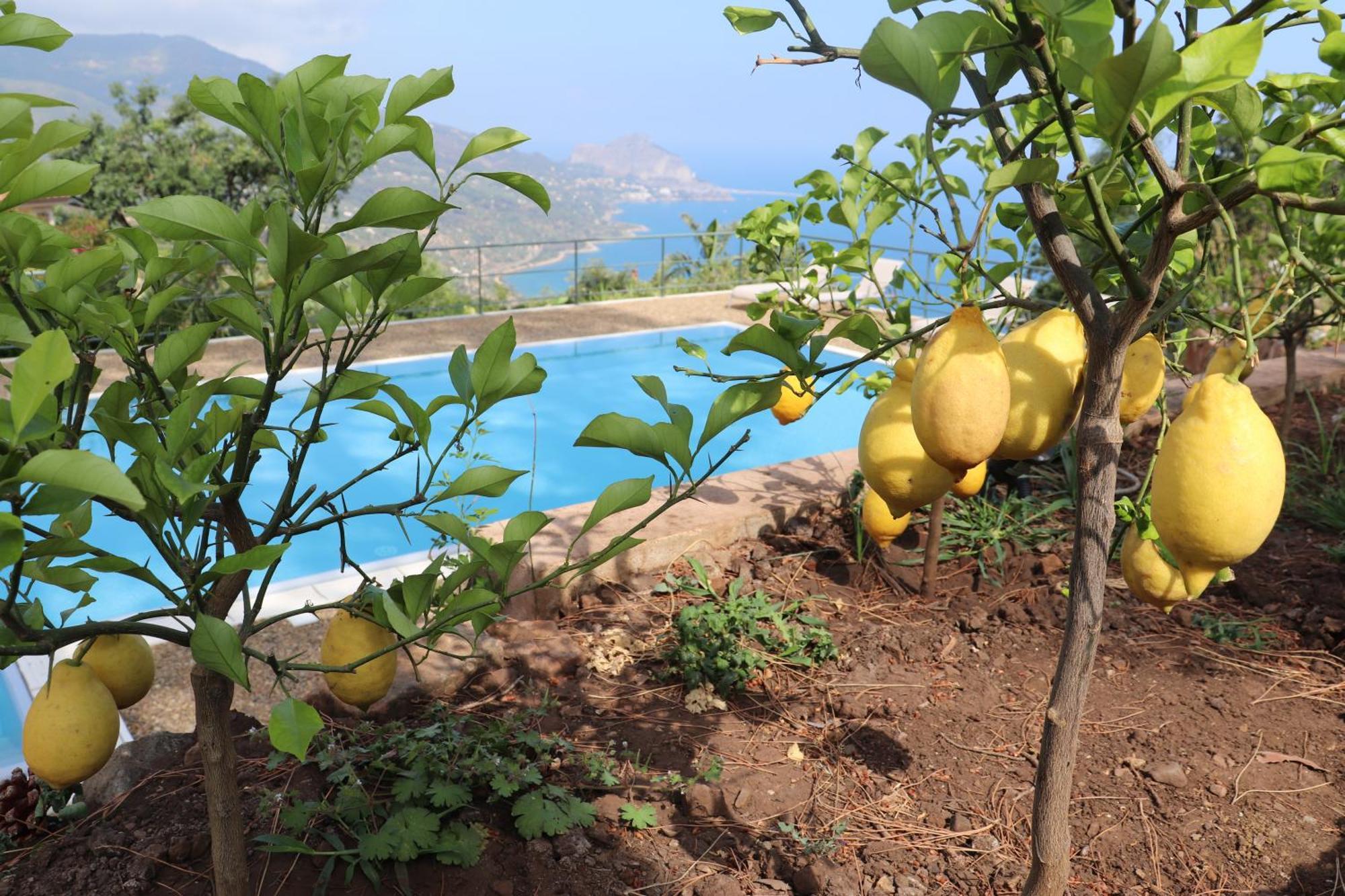 Cefalu Nest Pool House Terrace Sea View Bagian luar foto